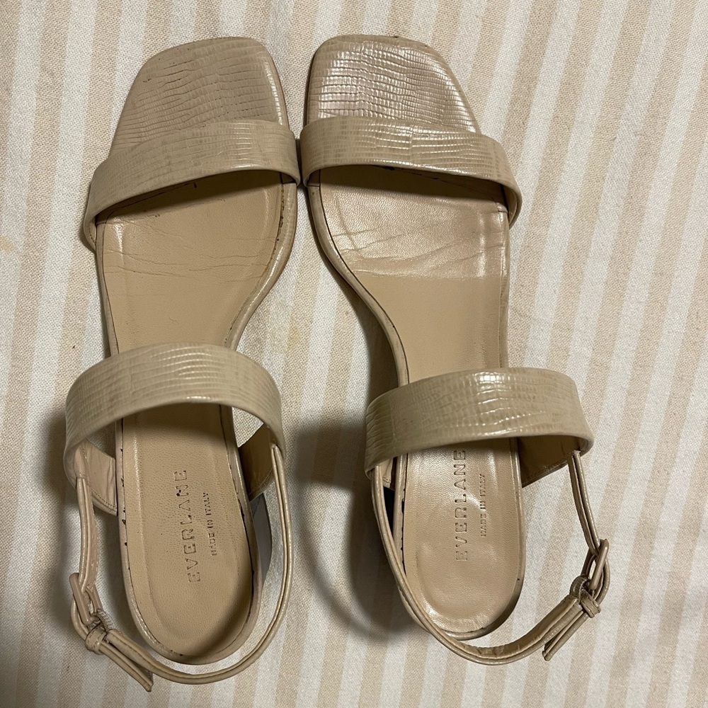 Beige Everlane Leather Sandals